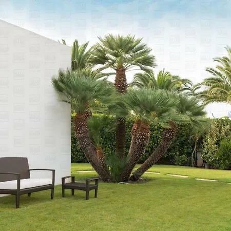 Helloapulia Le Tre Corti Apartman